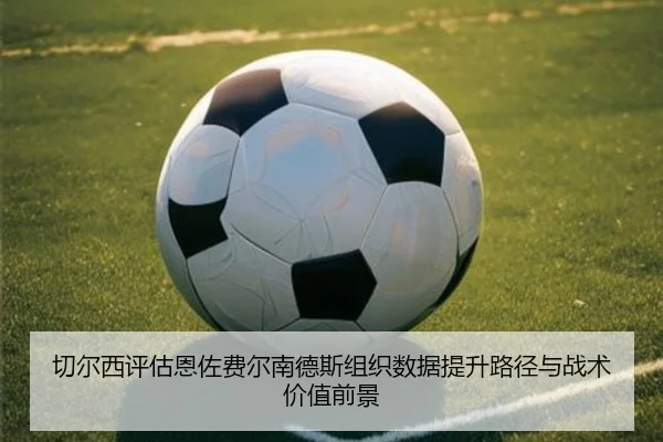 切尔西评估恩佐费尔南德斯组织数据提升路径与战术价值前景
