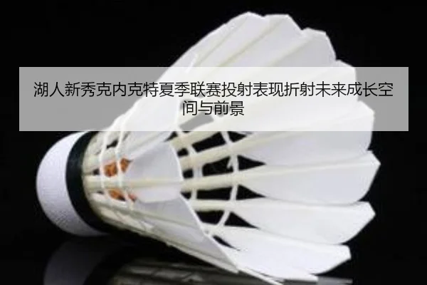 湖人新秀克内克特夏季联赛投射表现折射未来成长空间与前景