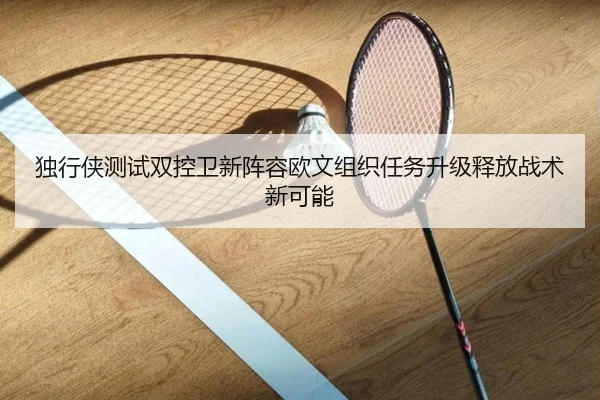 独行侠测试双控卫新阵容欧文组织任务升级释放战术新可能